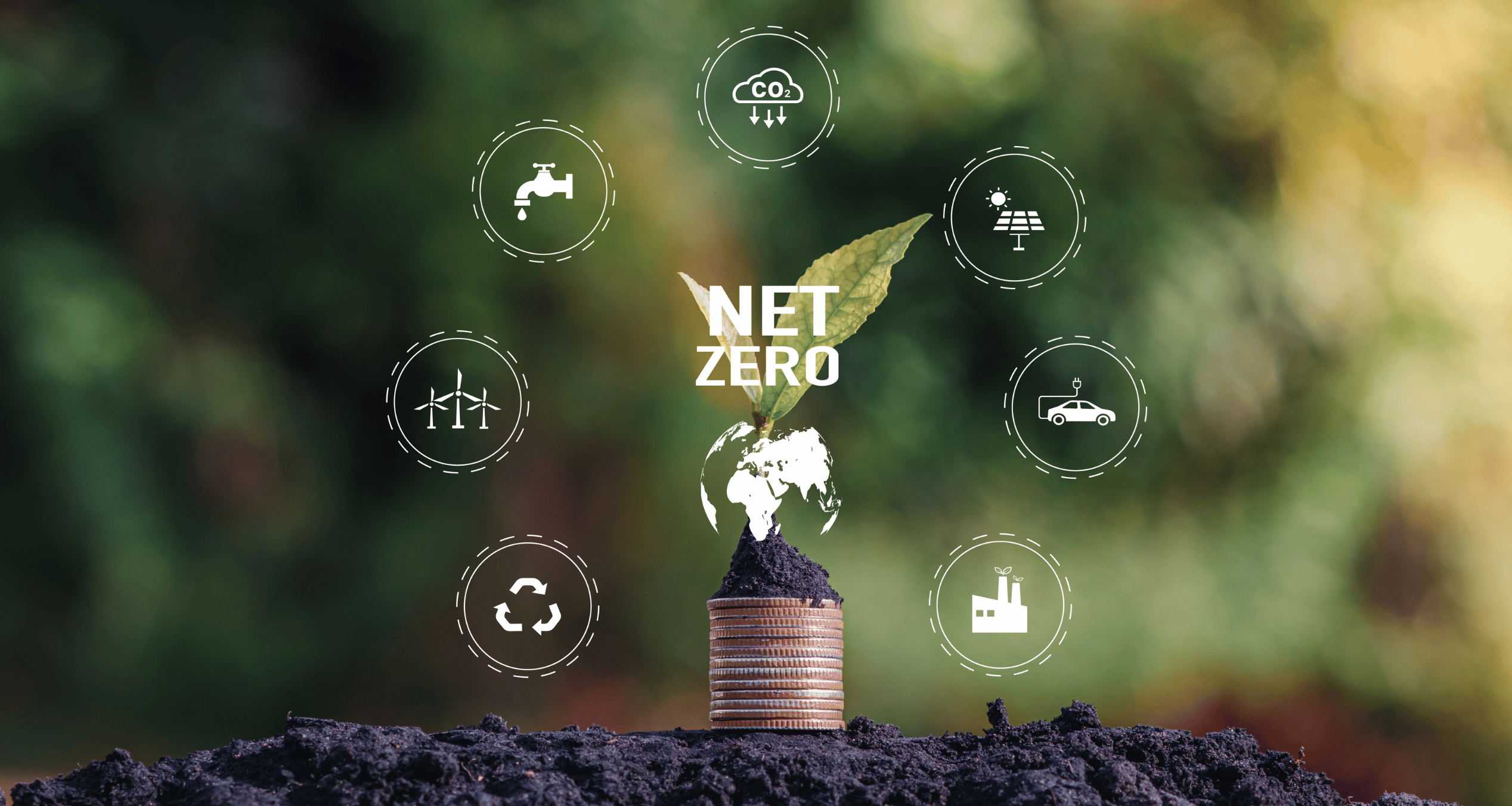 Carbon Management and Net-Zero Strategy